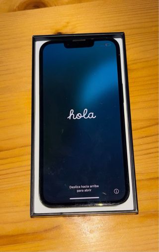 iPhone 13 Pro nero/grigio
