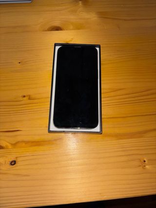 iPhone 13 Pro nero/grigio