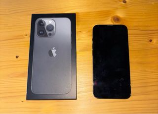 iPhone 13 Pro nero/grigio