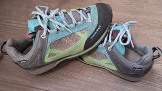 Zapatillas Mammut Ridge Low GTX T39 1/3