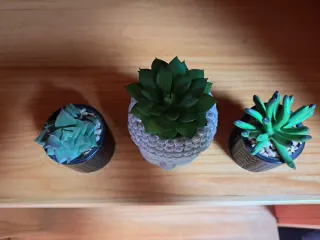 Maceta Buda Cerámica Gris y Negra