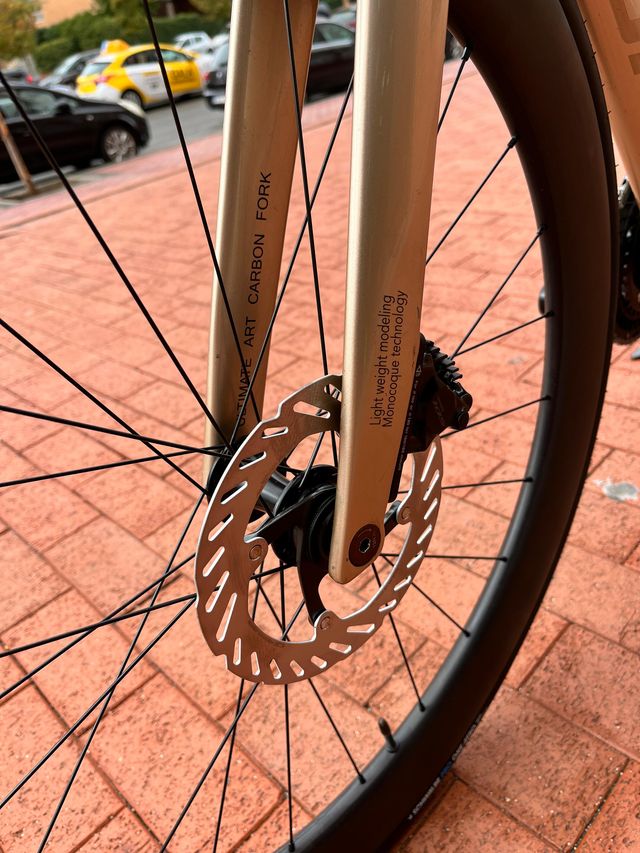 Bicicleta Vitoria Ultimate Art Talla S