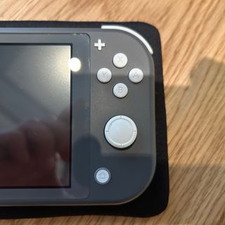 Nintendo Switch Lite Grey + accessori