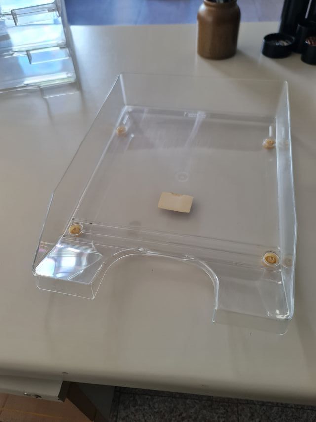 Vassoi organizer da scrivania (confezione da 4 pezzi)