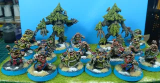 Blood Bowl Equipo Halflings Nordicas