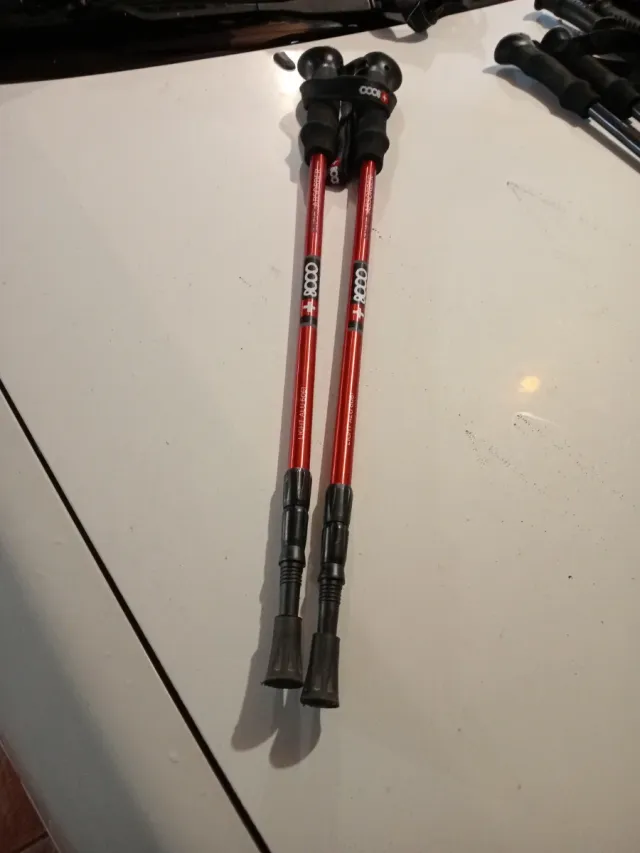 Bastones de trekking 8000