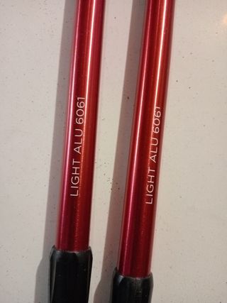 Bastones de trekking 8000