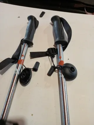 2 Bastones de Trekking Trespass
