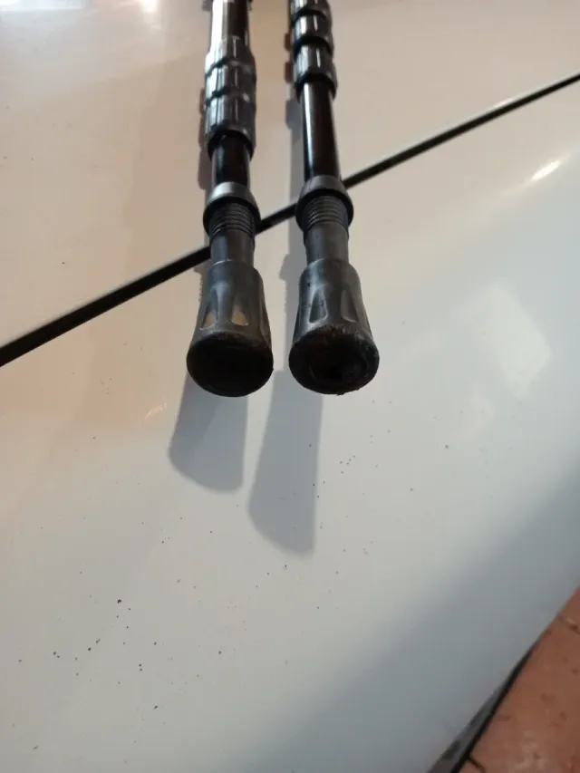 2 Bastones de trekking Yilan