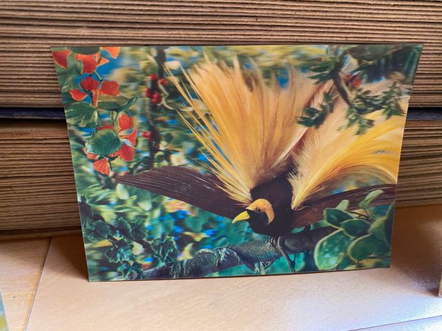 Lote 8 Postales 3D Nuevas