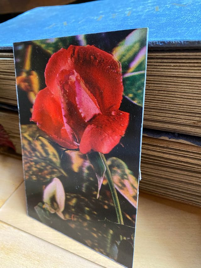 Lote 8 Postales 3D Nuevas