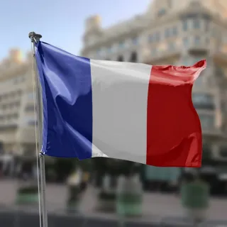 Clases de francés, profesor bilingue