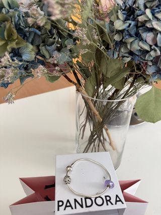 Pulsera Pandora Plata con Charm Morado