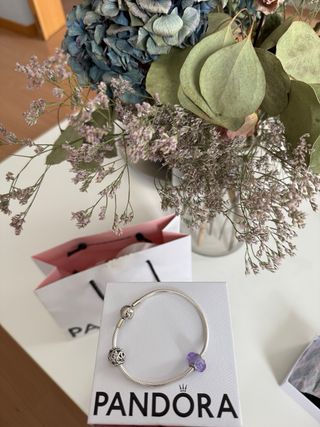 Pulsera Pandora Plata con Charm Morado