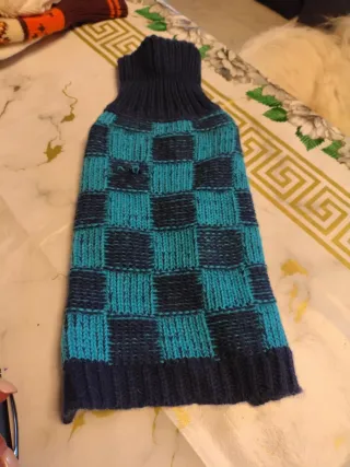 Maglioncino cane scacchi blu/azzurro