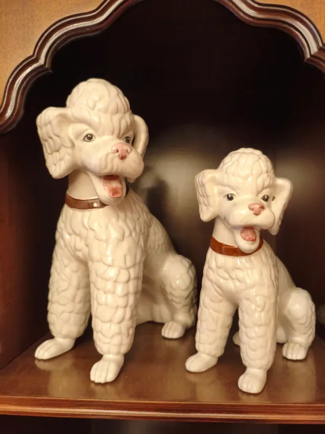 Perros de Porcelana Portugal