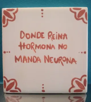 Azulejo pintado a mano para decorar o regalar
