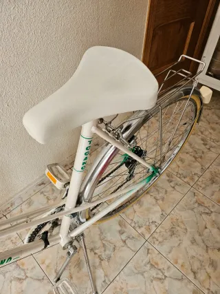Bicicleta Clásica Verde y Blanca