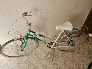 Bicicleta Clásica Verde y Blanca