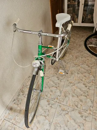 Bicicleta Clásica Verde y Blanca