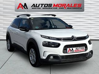 Citroen C4 Cactus HDI 100CV