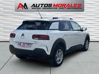 Citroen C4 Cactus HDI 100CV