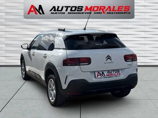Citroen C4 Cactus HDI 100CV