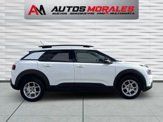 Citroen C4 Cactus HDI 100CV