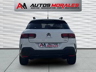 Citroen C4 Cactus HDI 100CV