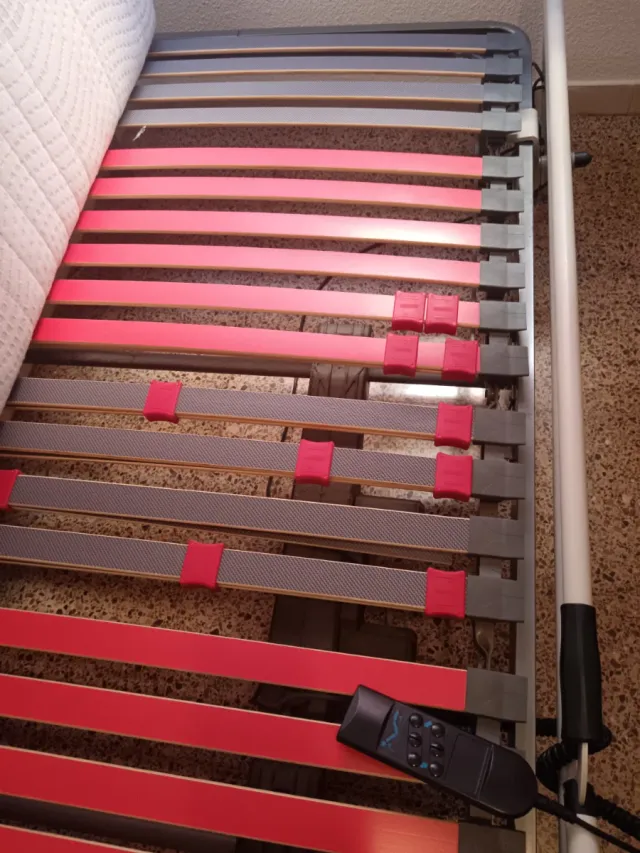 Camarticulada eléctrica con mando