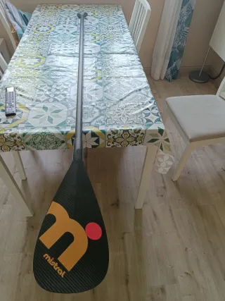 Remo Mistral Gold Edition Carbono