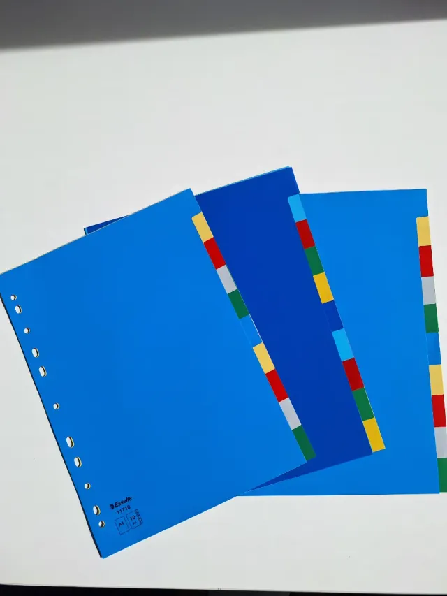 30 Separadores plástico A4 carpetas anillas