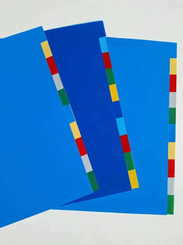 30 Separadores plástico A4 carpetas anillas