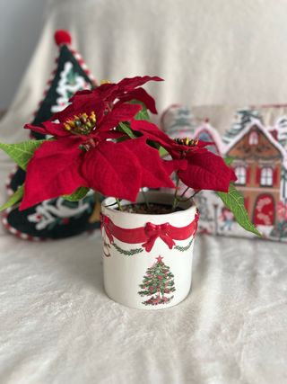 Flor de pascua con macetero Cerámica de Navidad