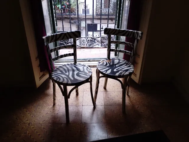 Par de sillas de madera con estampado cebra