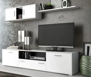 Muebles de salón OFERTA