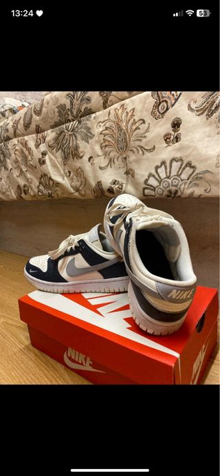 Nike Dunk Azules y Blancas