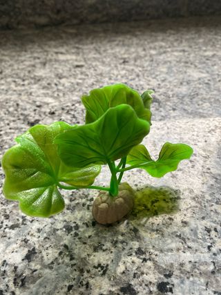 Pecera grande de cristal