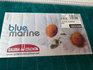 Estructura de cama con cama supletoria + colchones