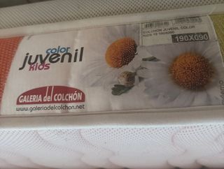 Estructura de cama con cama supletoria + colchones