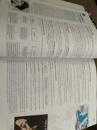 Lengua y Literatura 4 operación mundo Anaya