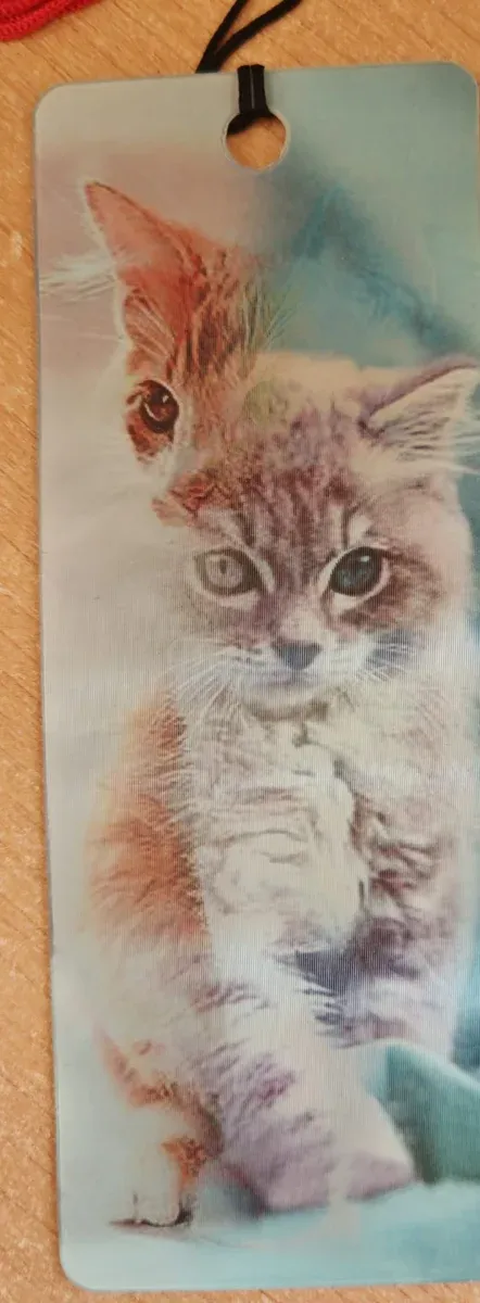 Marcapáginas gatito naranja y blanco