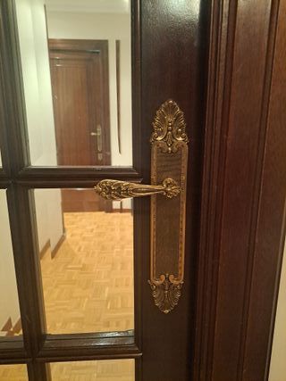 Puerta Madera Oscura Cristal x 5