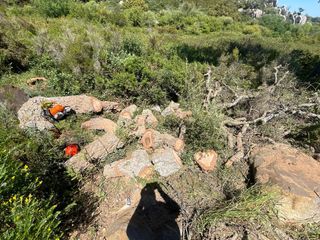 Leña de chaparro para chimeneas