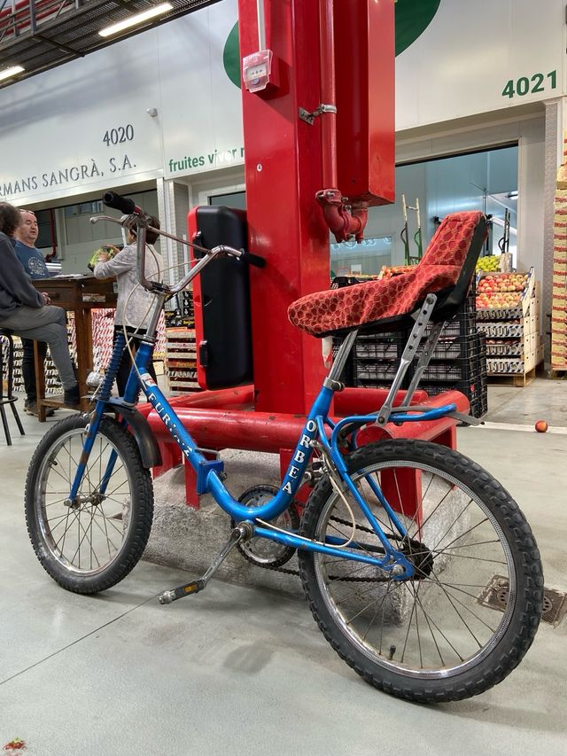 Bicicleta Orbea Furia 2