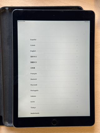 iPad Air 2 con opción a SIM