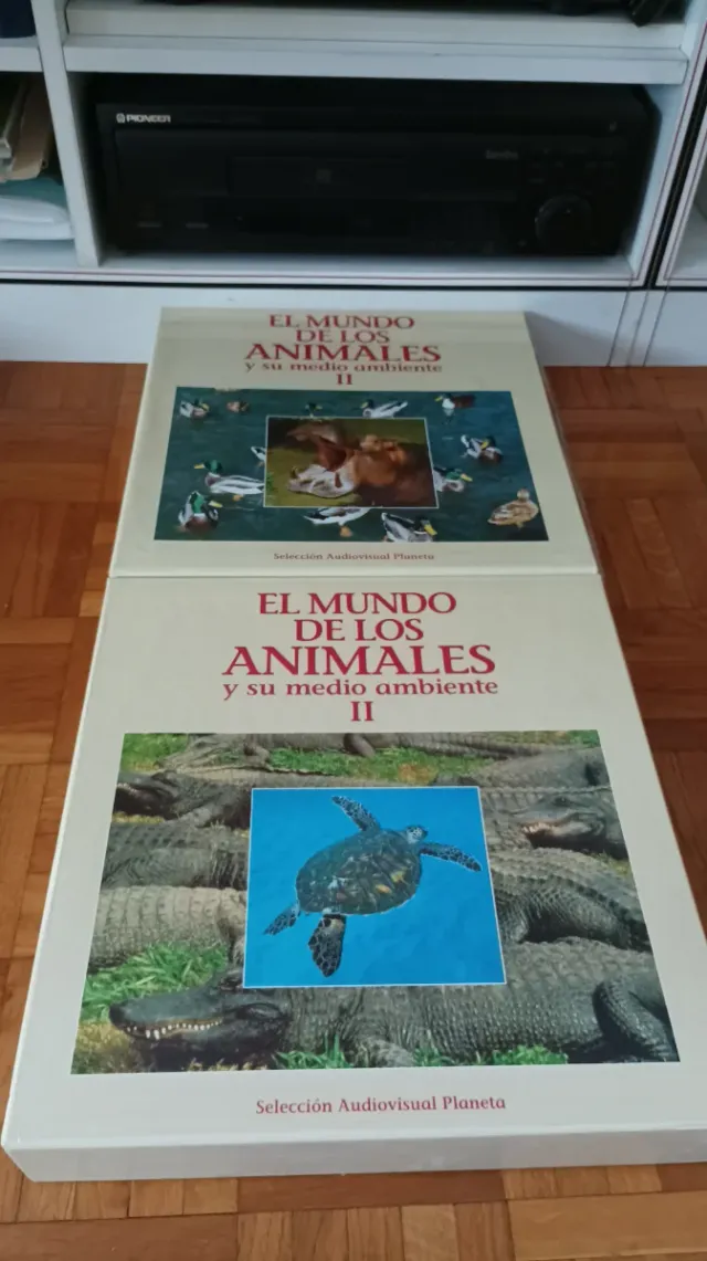 Pioneer CLD-900S Laser Disc + discos + libros