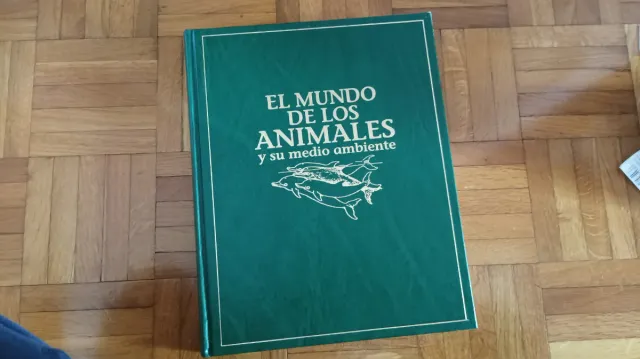 Pioneer CLD-900S Laser Disc + discos + libros