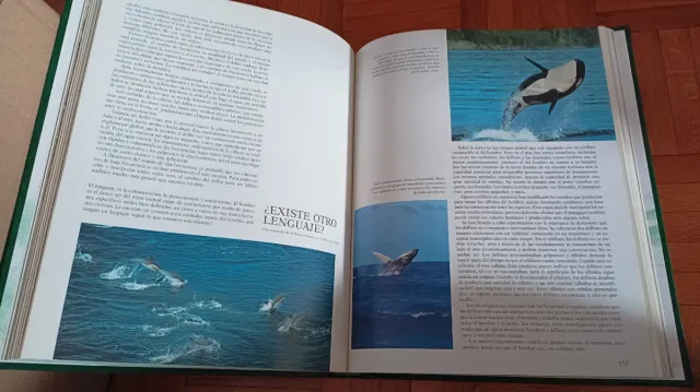 Pioneer CLD-900S Laser Disc + discos + libros