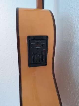 Guitarra Flamenca Alhambra F5 CW E2 amplificada